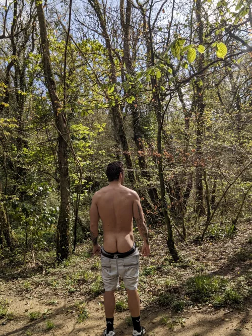 Peach in the woods !