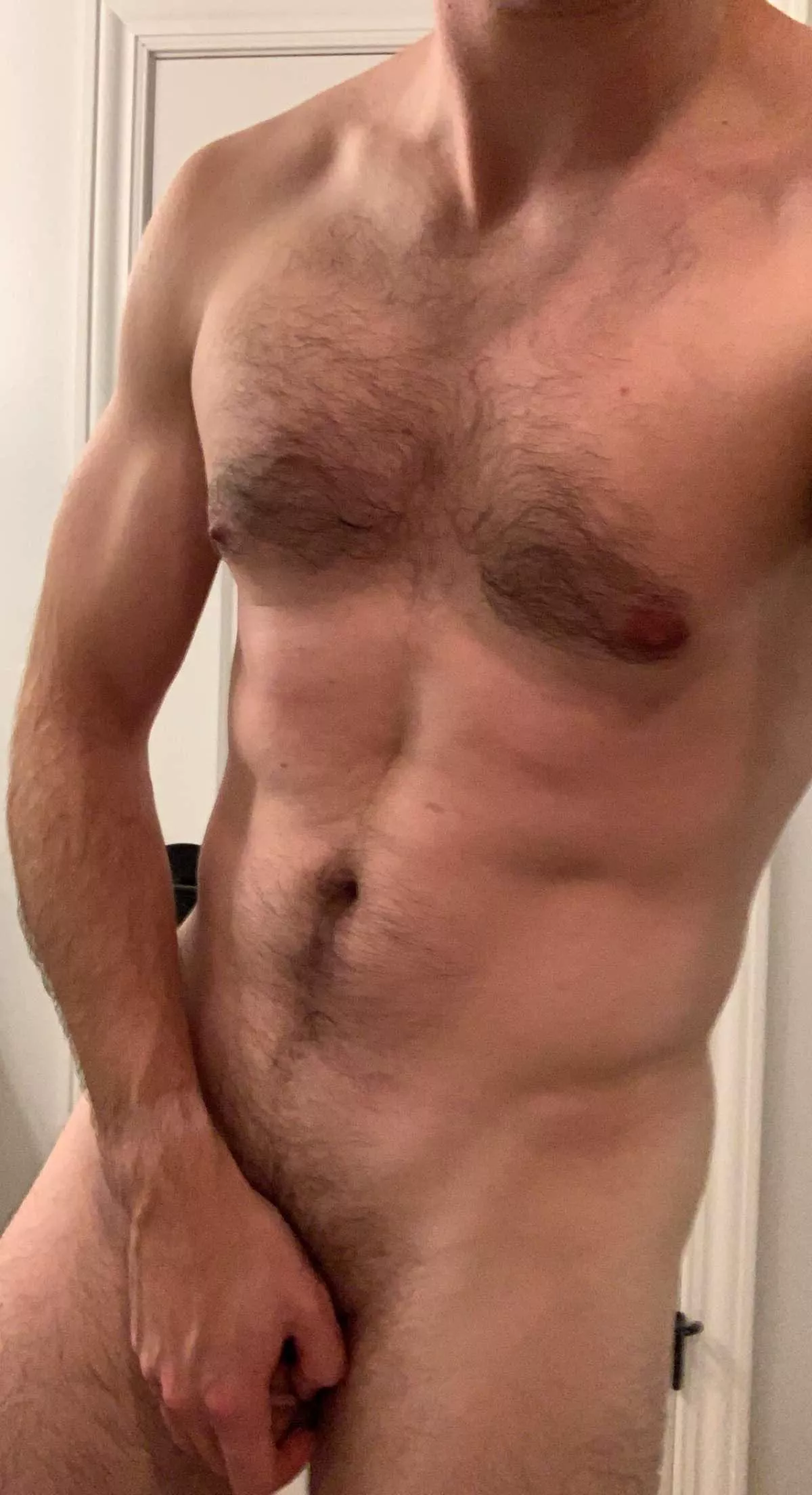 30M bull looking for a hotwife in Green Bay, WI