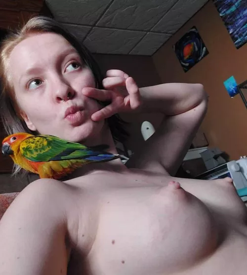 Did you even see the bird ?