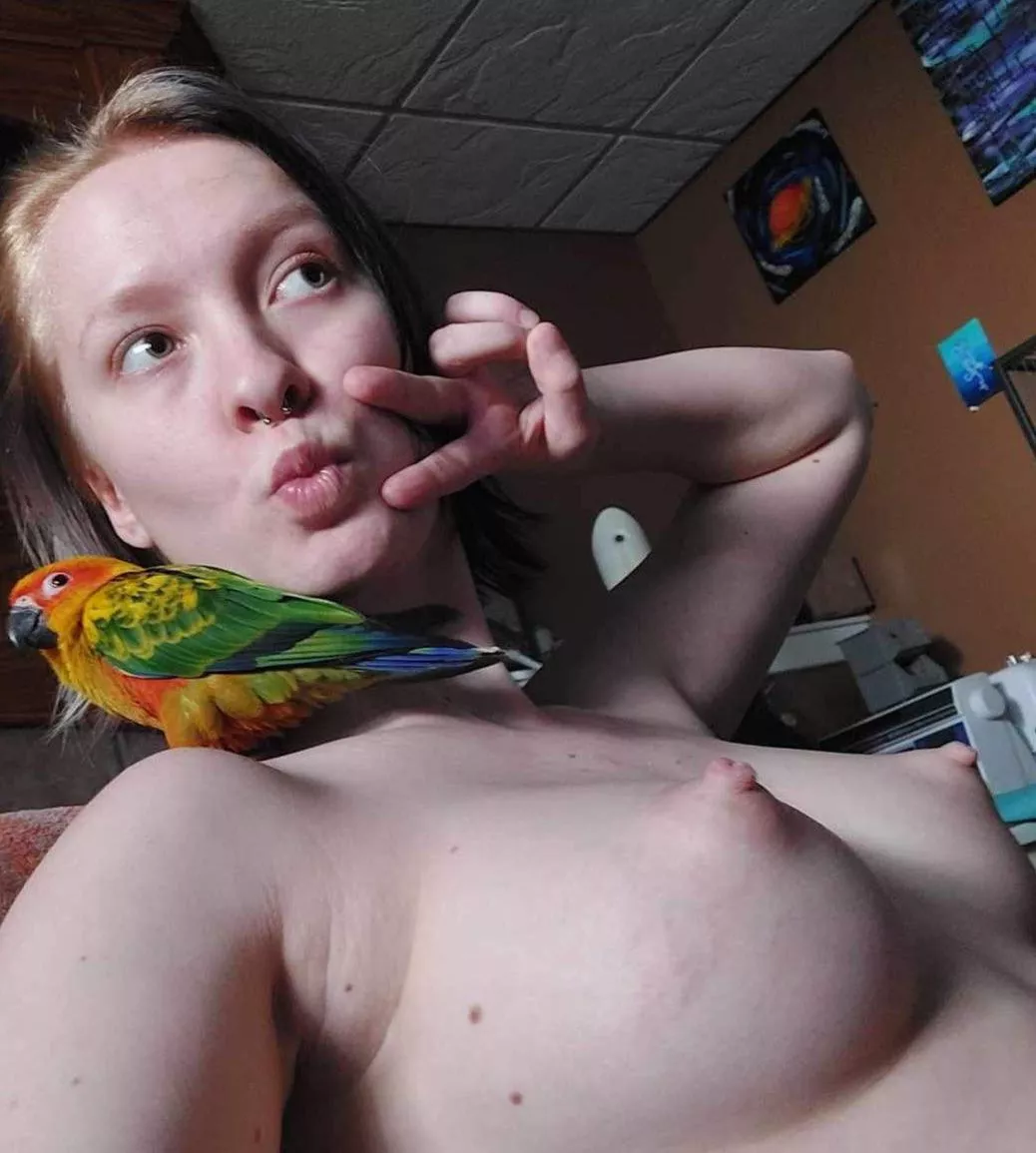 Did you even see the bird ?