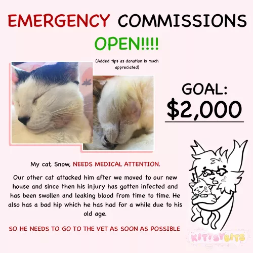 HELP MY CAT!! COMMISSIONS NOW OPEN TILL THE GOAL IS MET DM ME IF INTERESTED