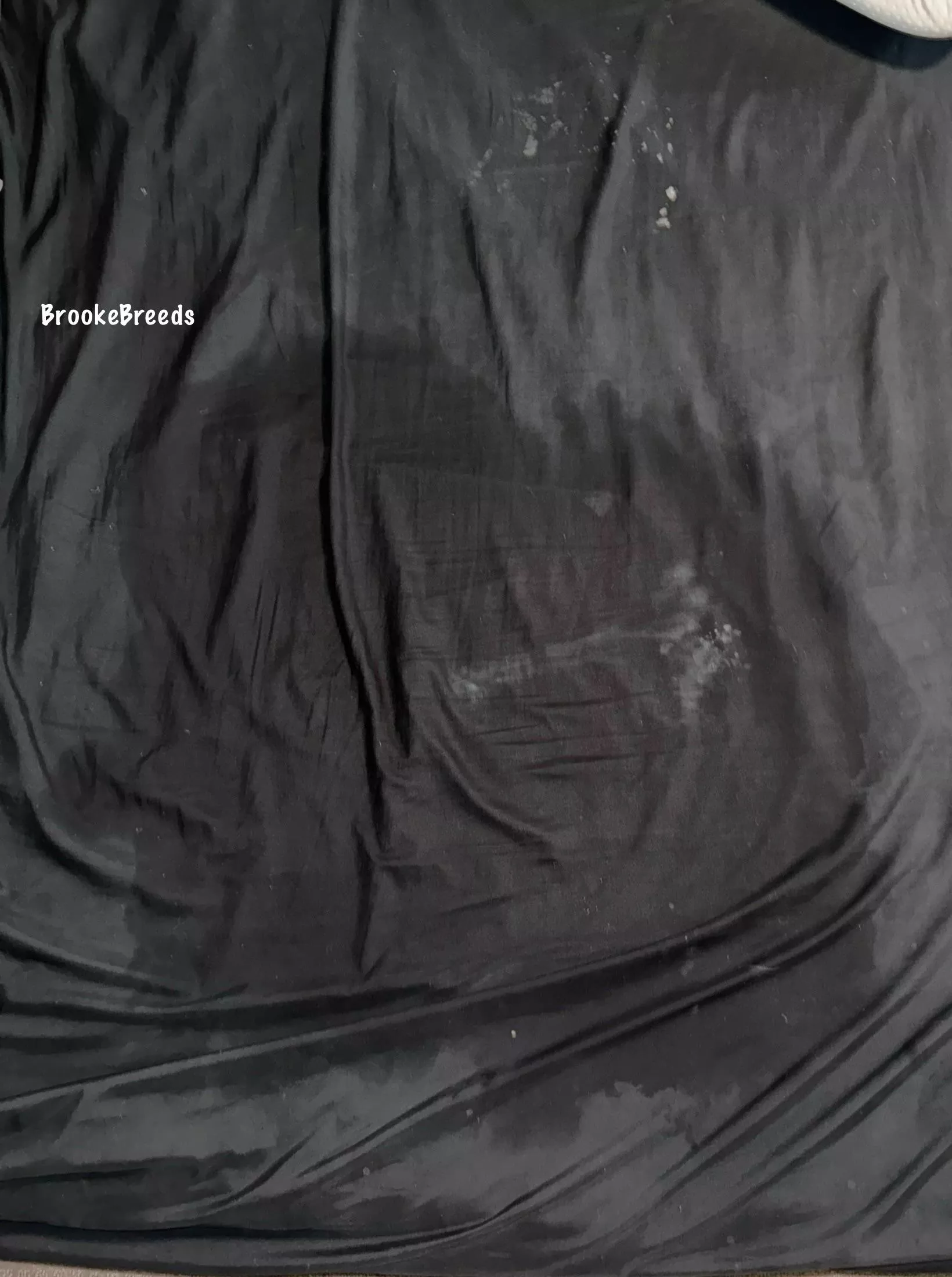 I came 3 different times and you can see each one😇