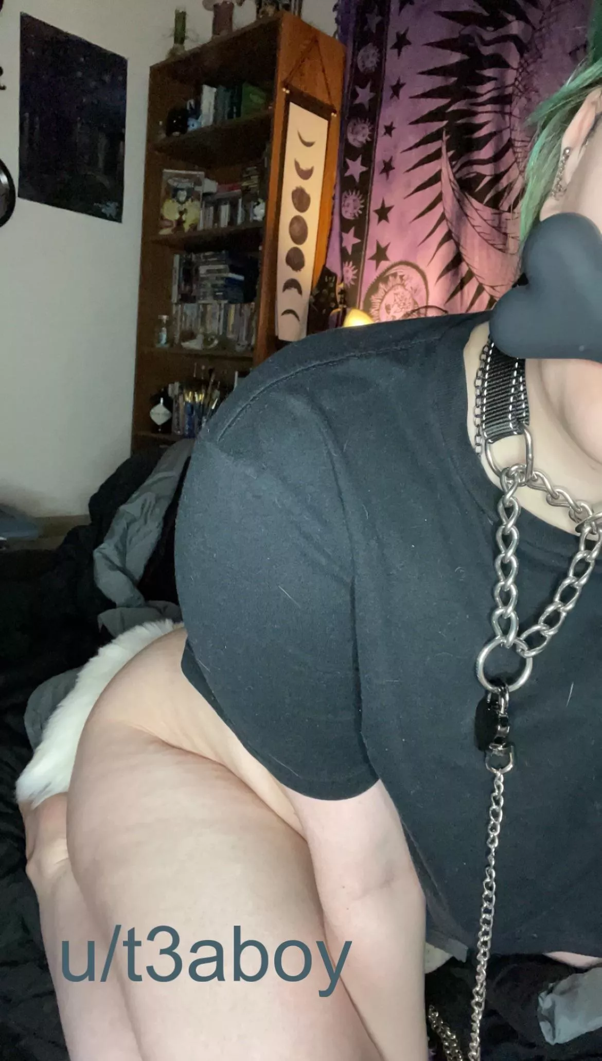 puppyboi brought you his bone! won’t you play with them? 