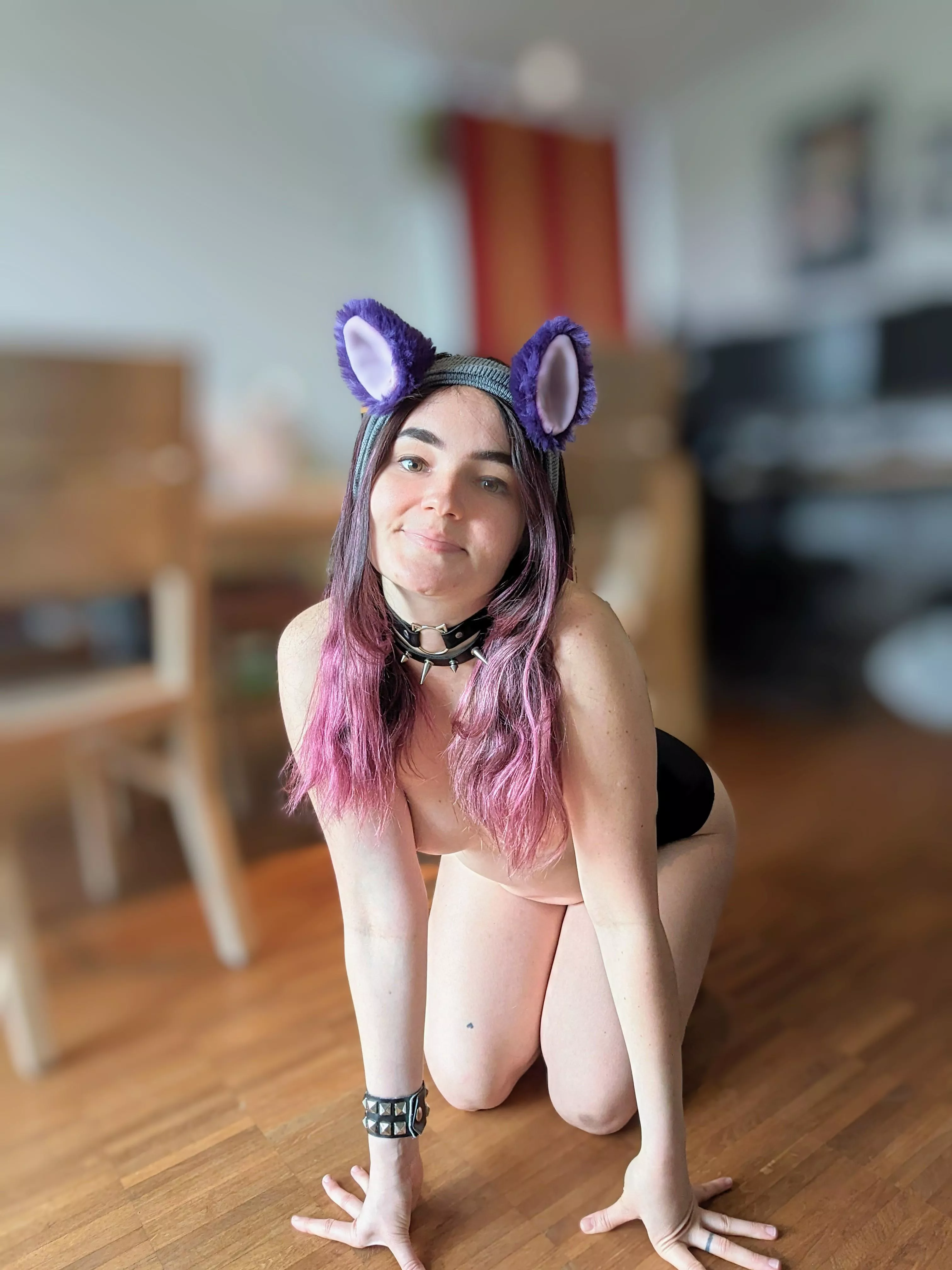 still deciding if i wanna be a cat or a dog today