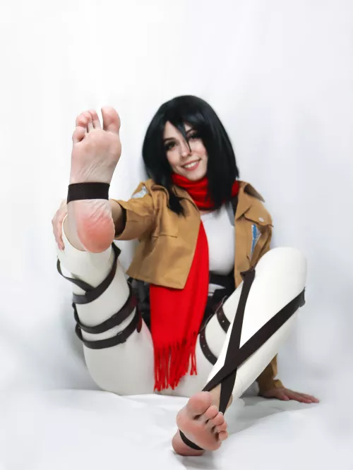 Mikasa [AOT] (Fairy Elfie)