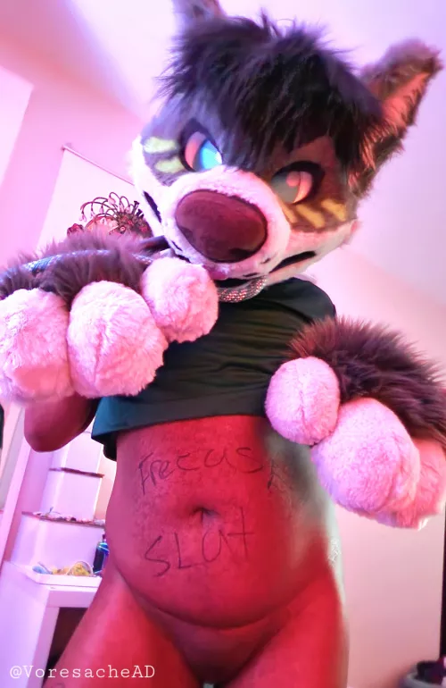 No thoughts, head empty (he/him)