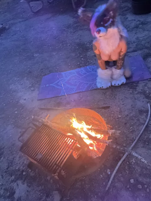 Wanna warm your 🐾 by the fire with me? 