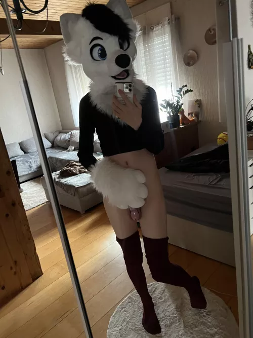 What would you do if you saw a locked foxxo uwu