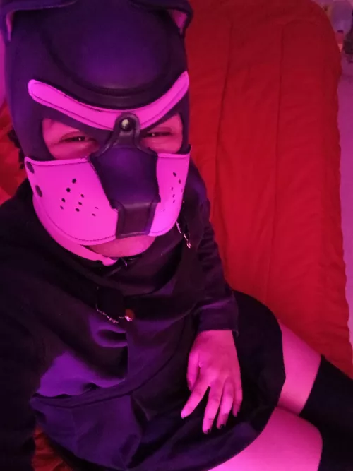 Another beautiful day, what's going on pups?