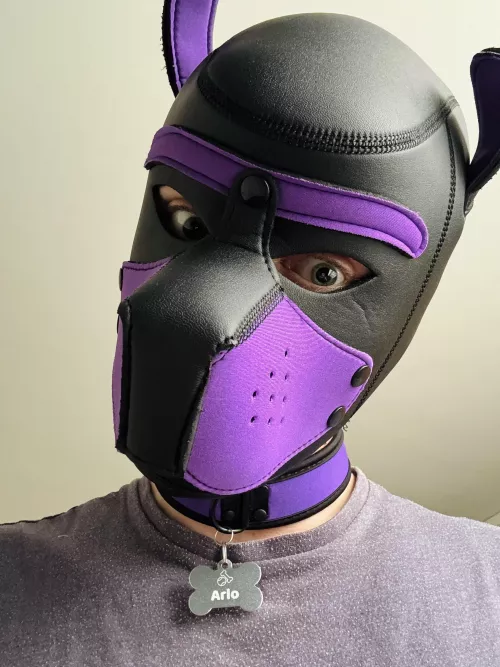 Finally got my own name tag and I love it! 💜🐶