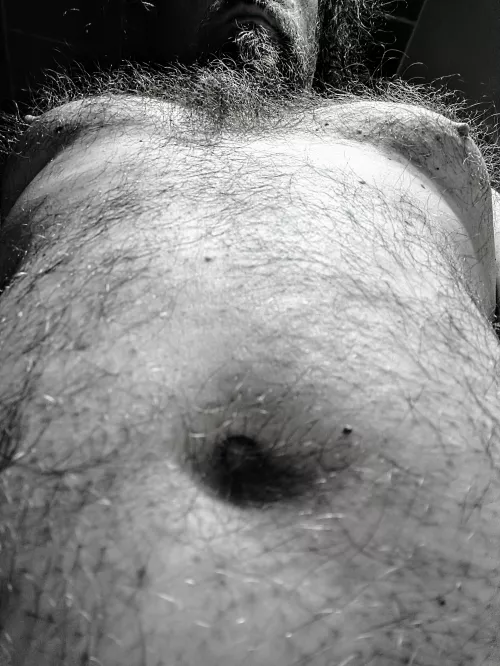 Hey is this bear hairy?