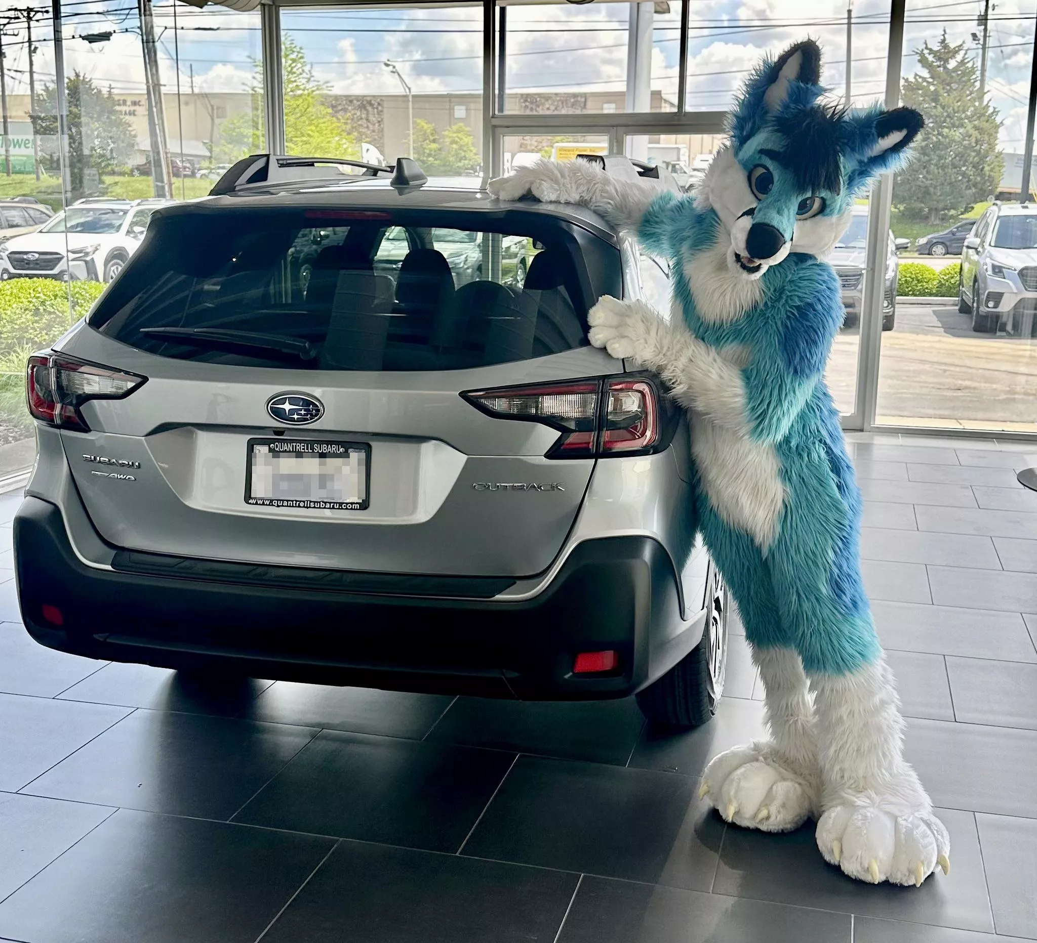 “I, a kit fox, am still taller!”