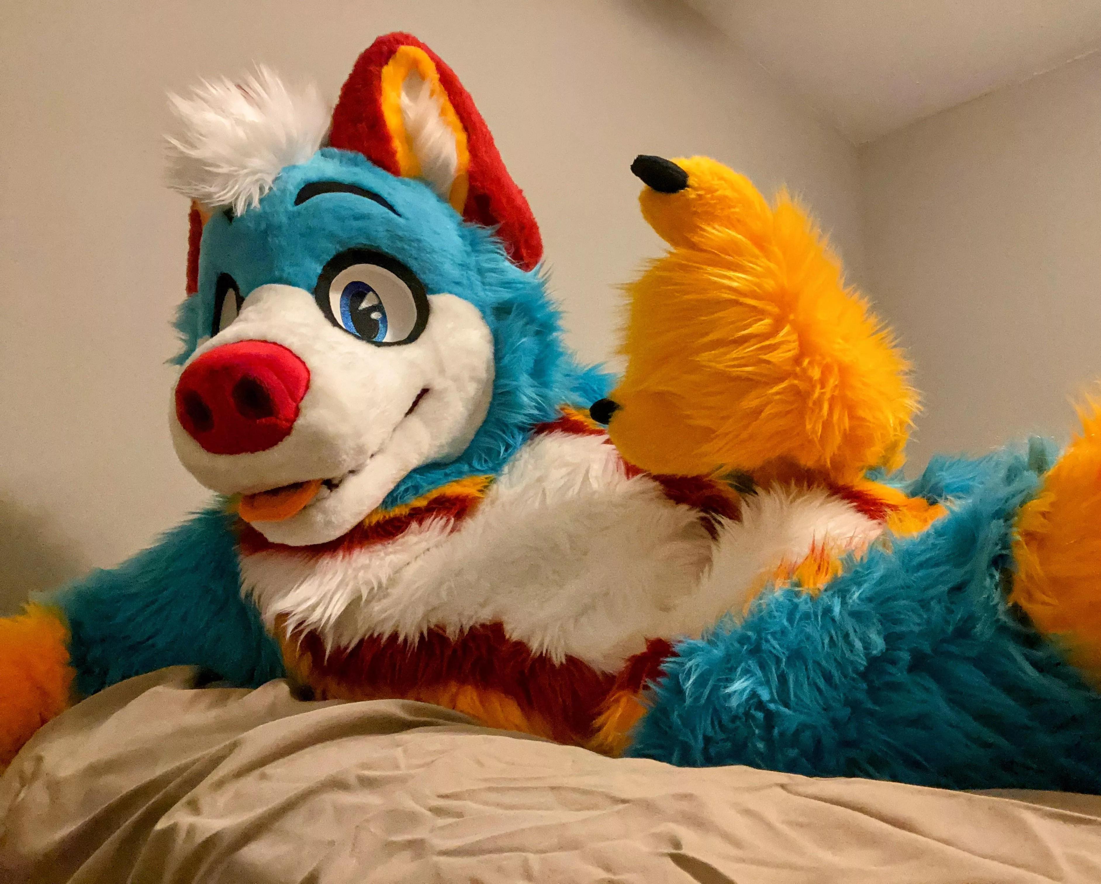 Life is awesome when you’re a big blue husky 😊