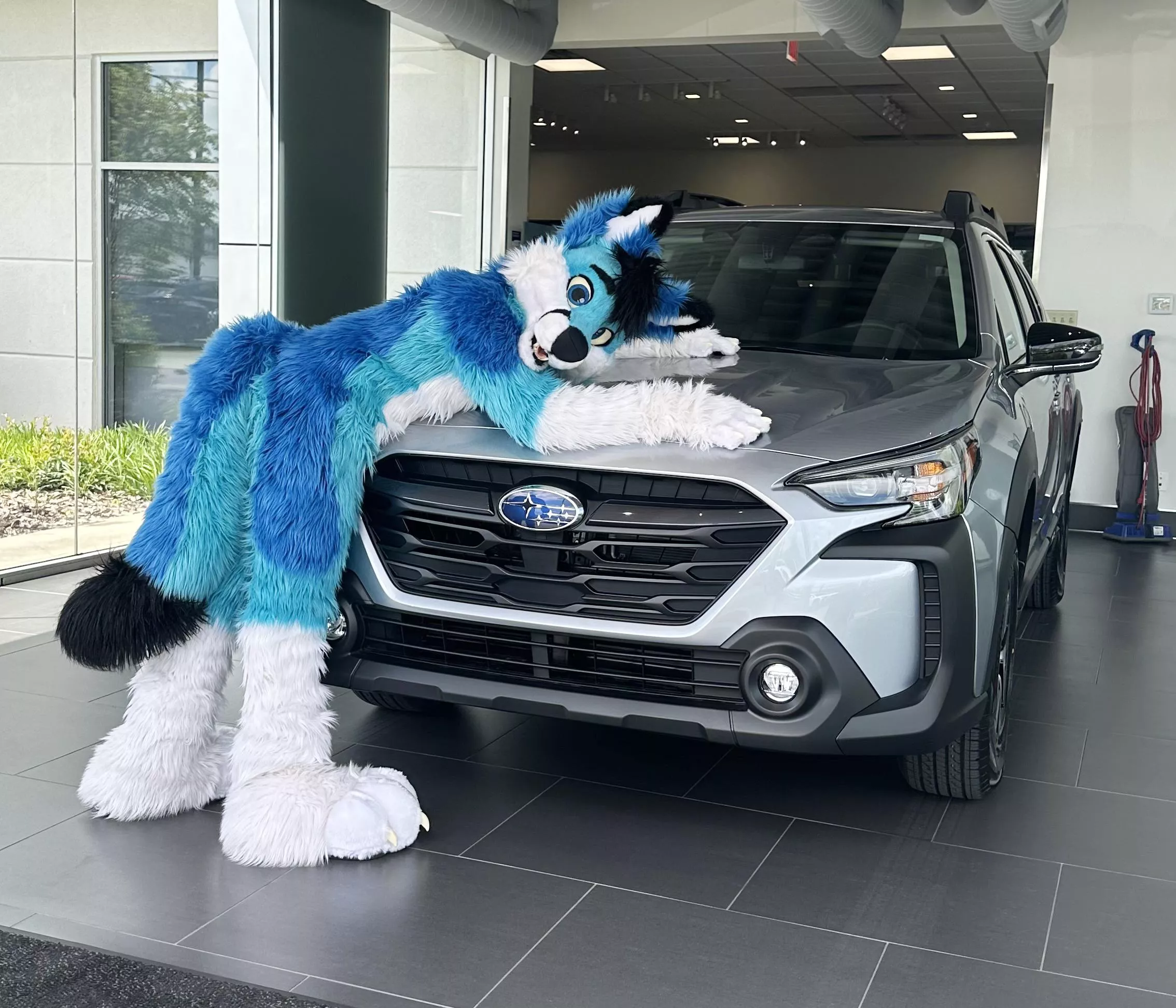 Picked up a car today at a dealership!