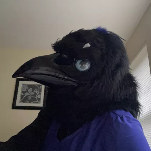 This clever bird is going to be attending Olympic collectibles expo this Saturday! :D