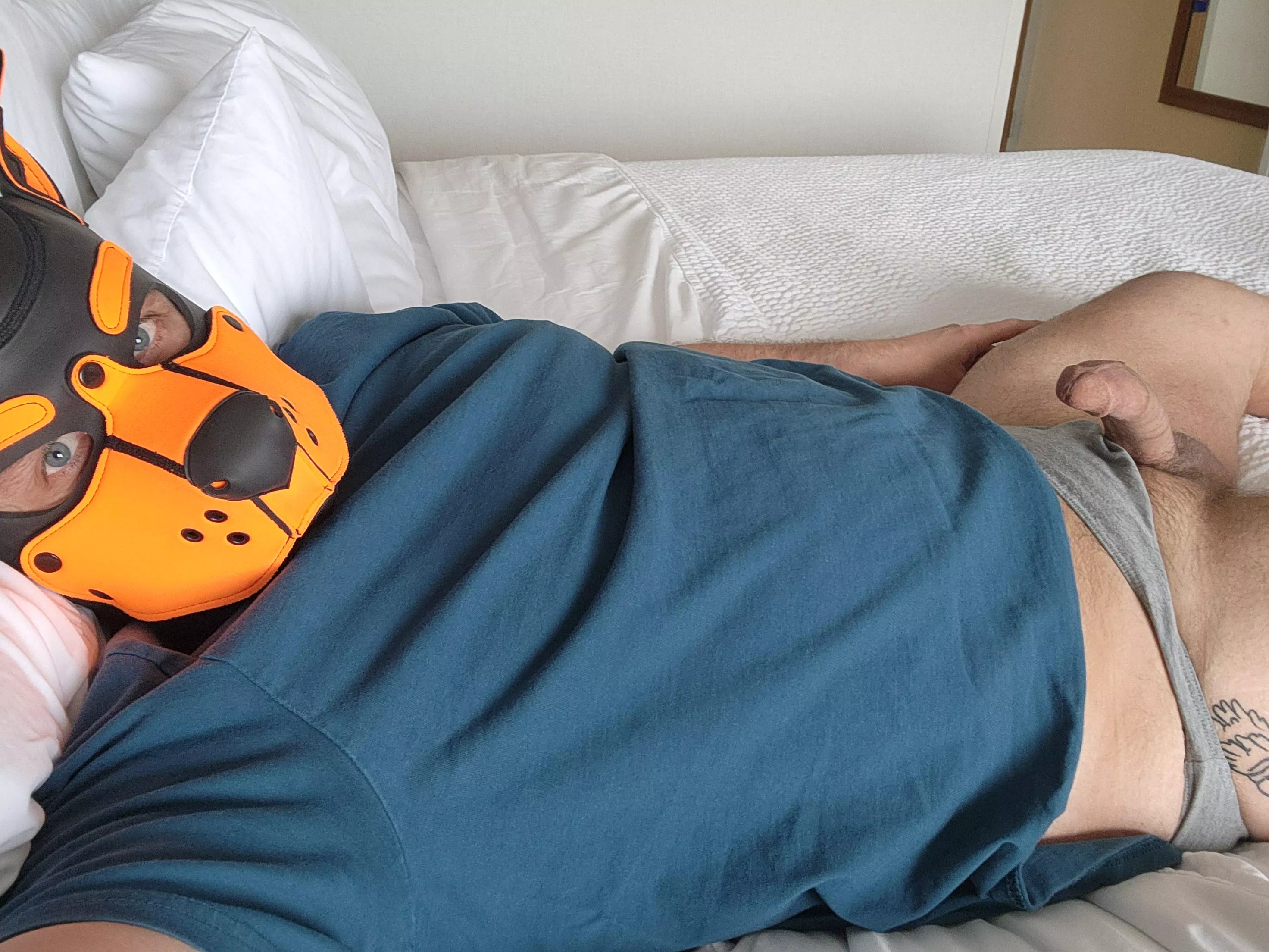 This pup is in a hotel room with a bone