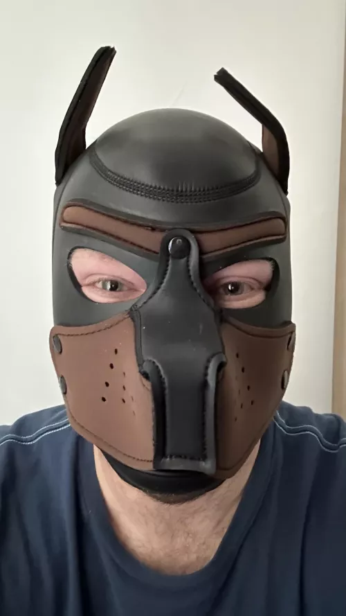 Today I really joined the puphood, with my first pup hood 🐶