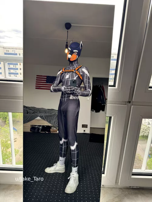 (20) spidey pup reporting for duty