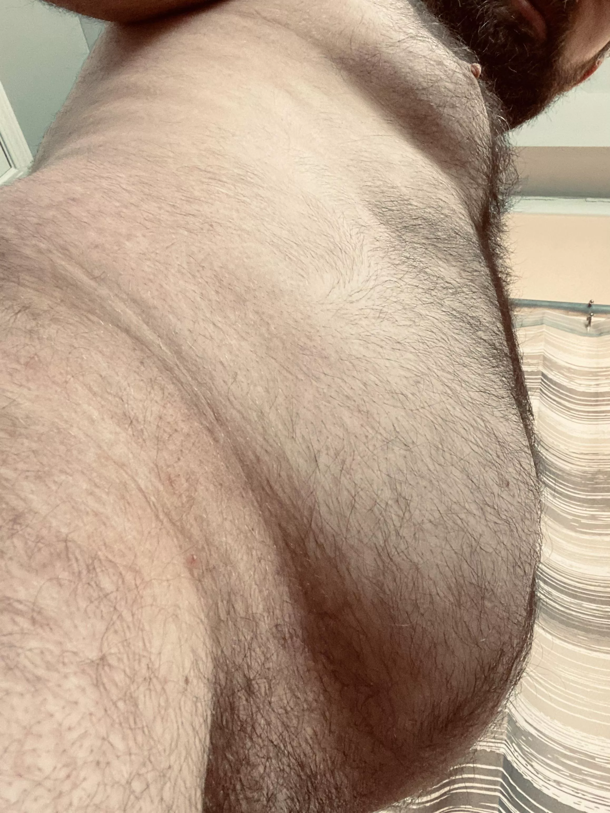 Hairy Dad Bod. Do you like?