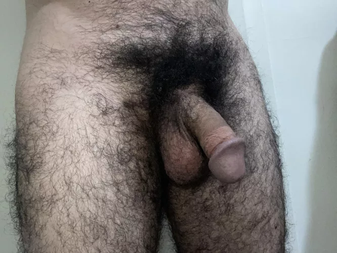 Soft cock pubes 