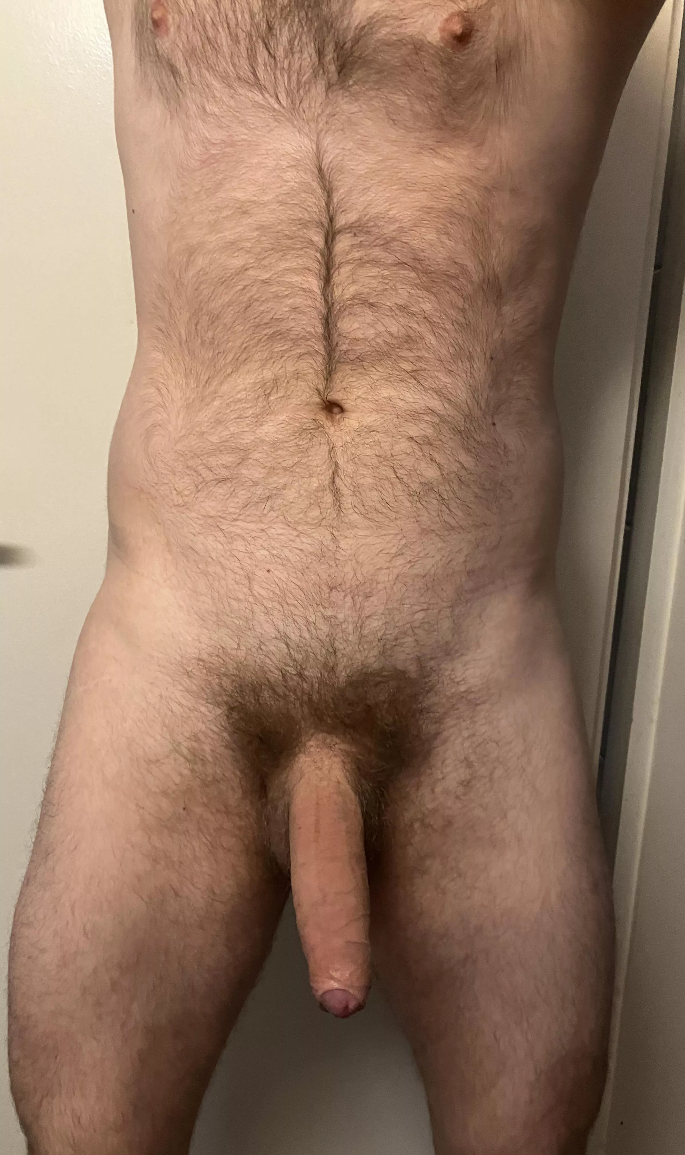 This cock is easily tempted by breeding