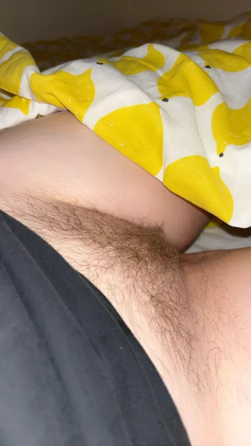 A little ginger bush 🦊