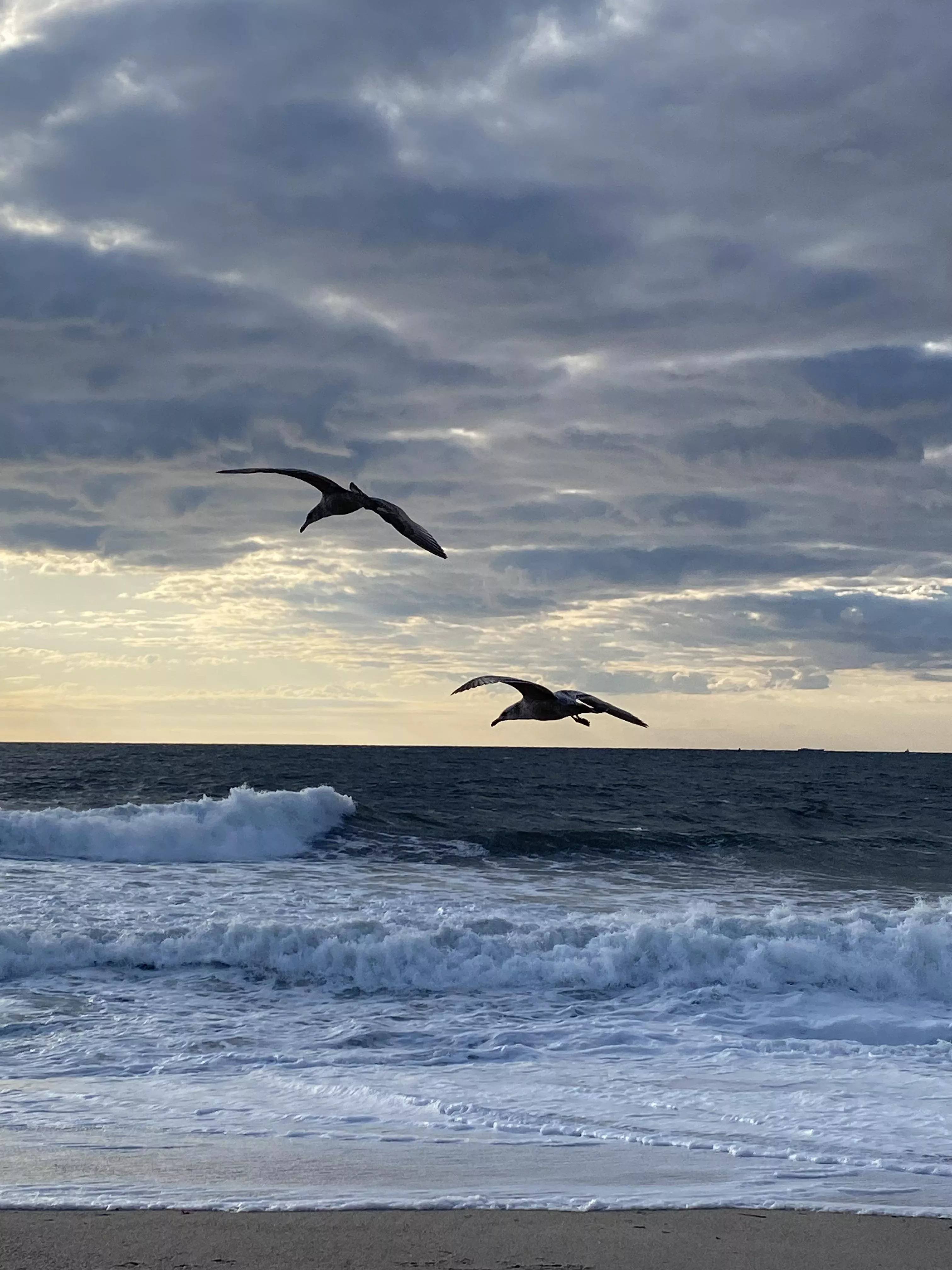 Beautiful but chilly morning at Island Beach State Park, New Jersey🤙🏻🎶🎶