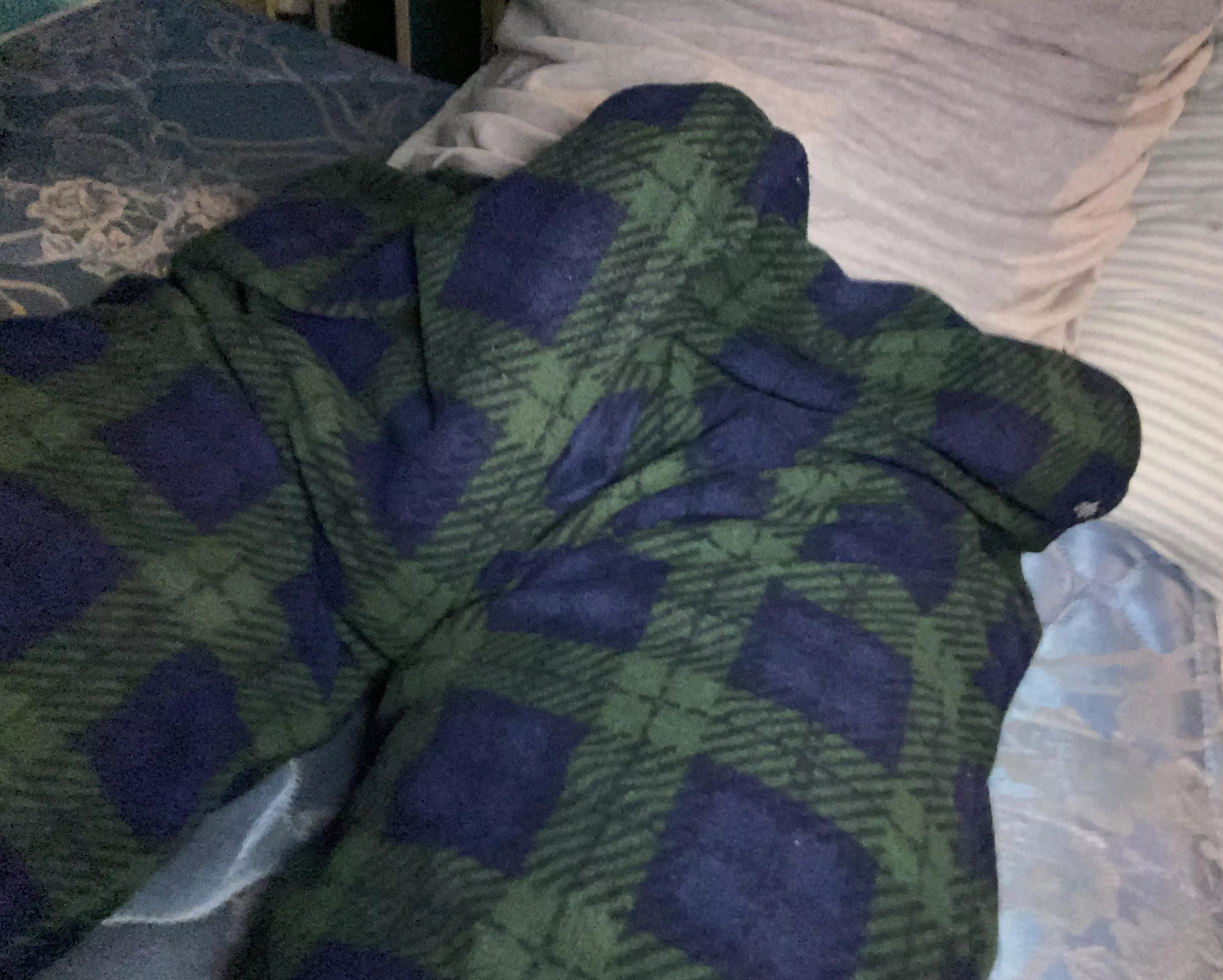 Decent bulge for a teen(19)?