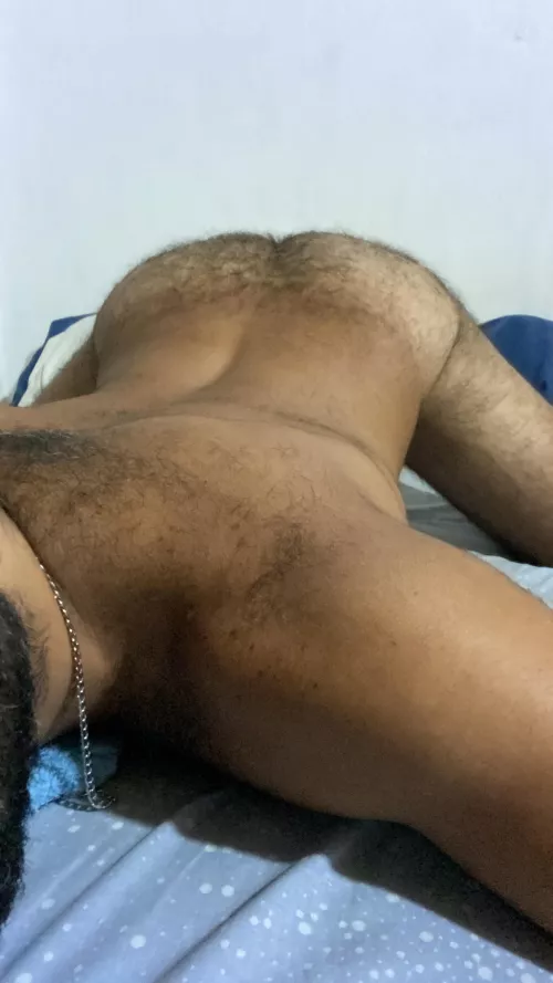 Do you want to fuck my hairy bear ass?