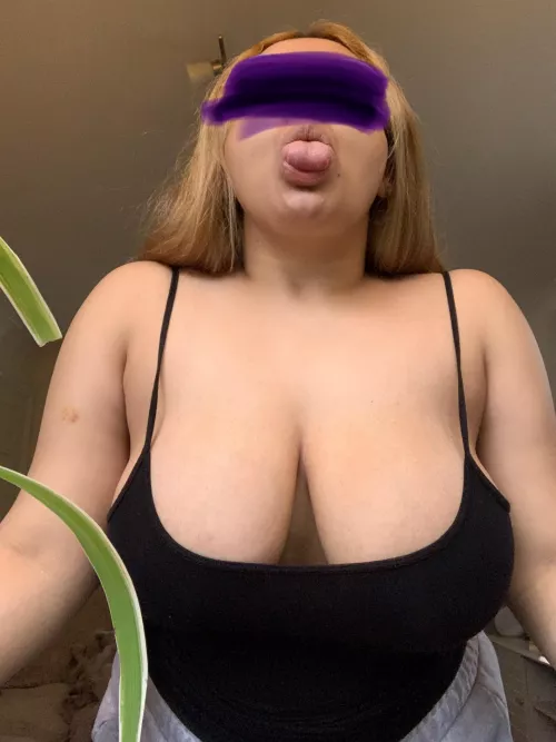 [F] Are you a fan of desi boobies