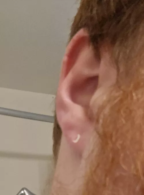 Got my Ear peirced in 2nd Grade. Took it out shortly after because of infection. 32 years old now and this guy has been consistently giving satisfying results every month or so since.
