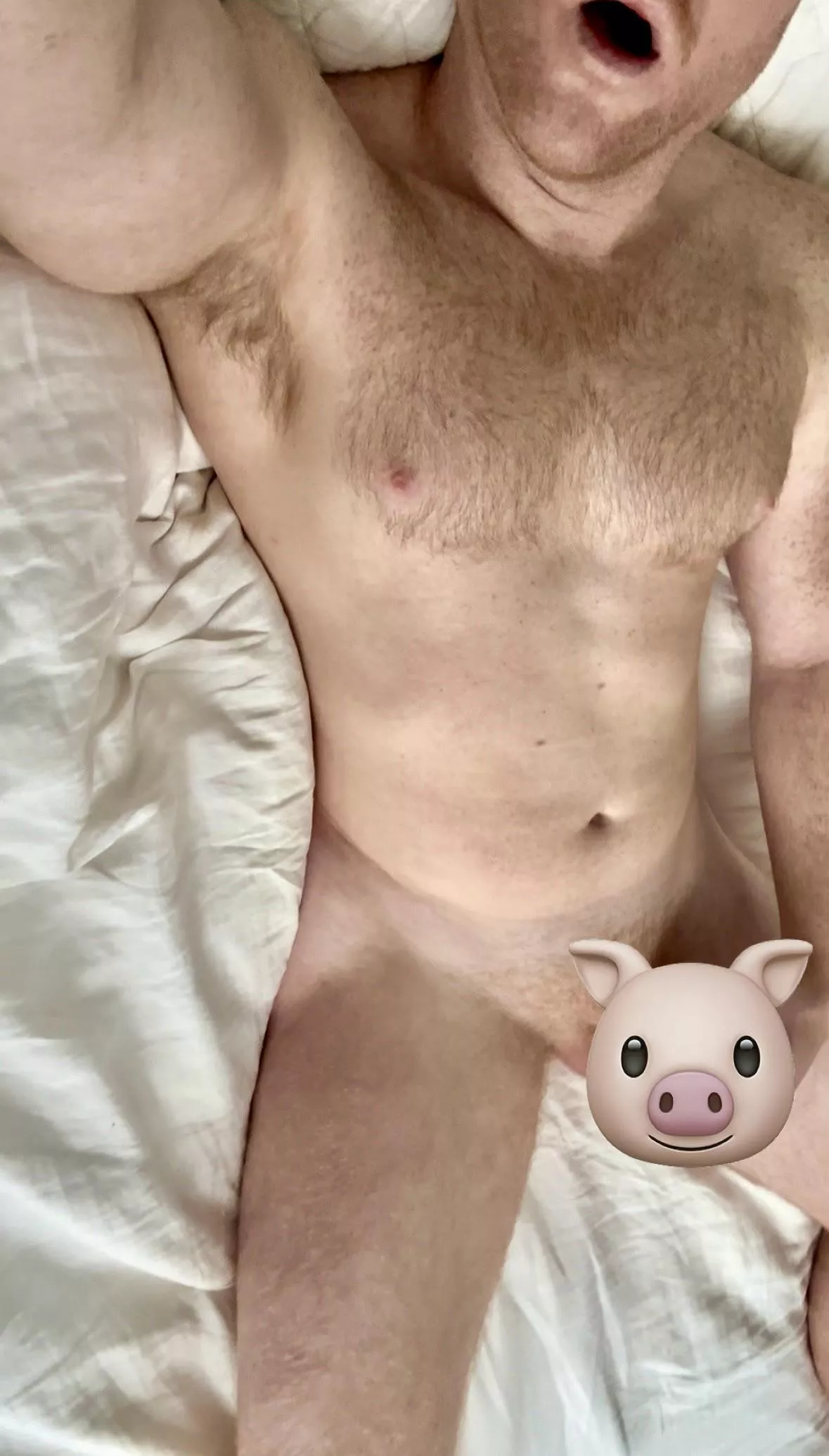Morning musk from this pig.