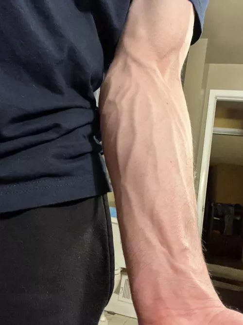 My forearms in the morning…