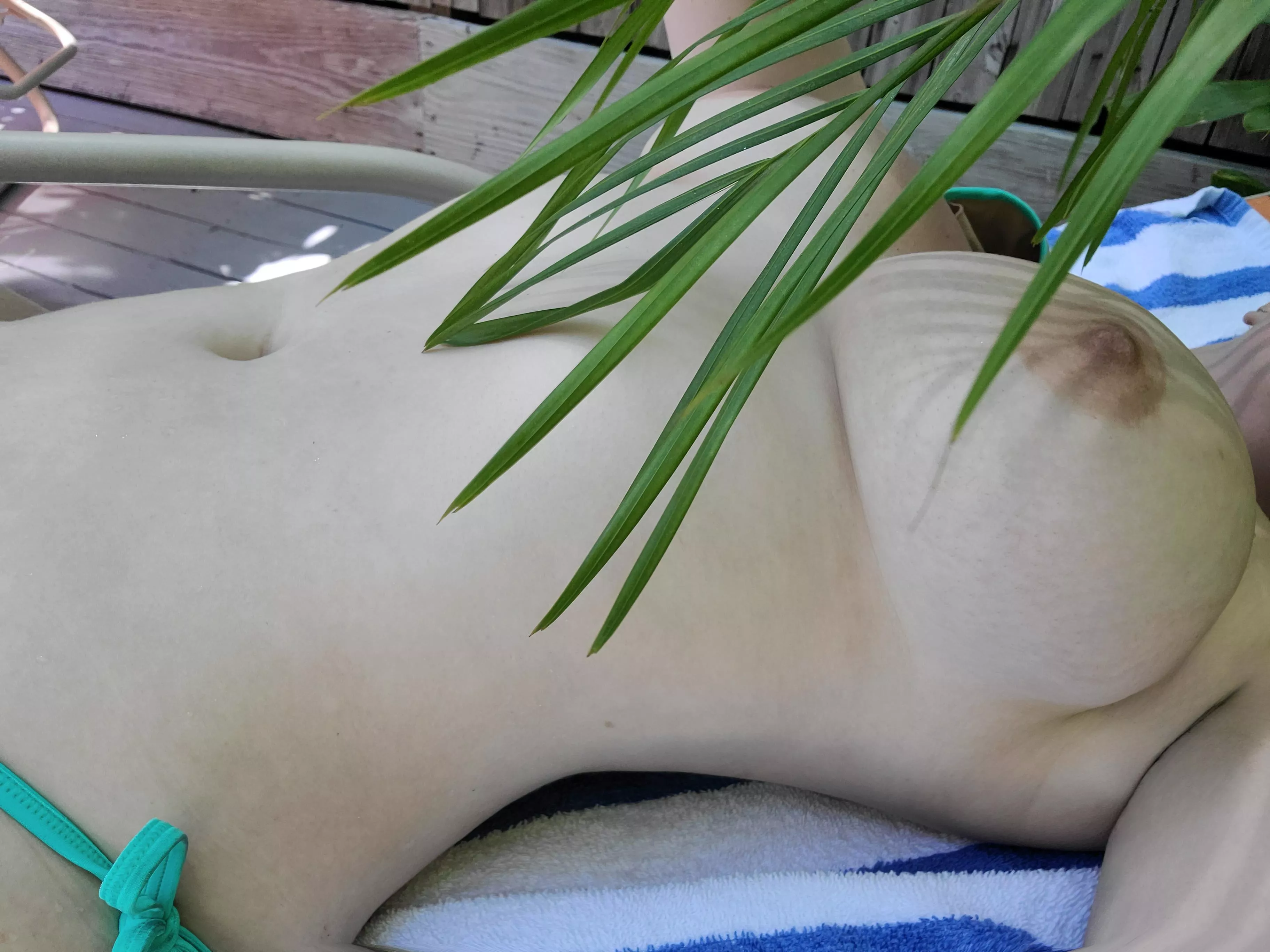 The palm was a paid actor 