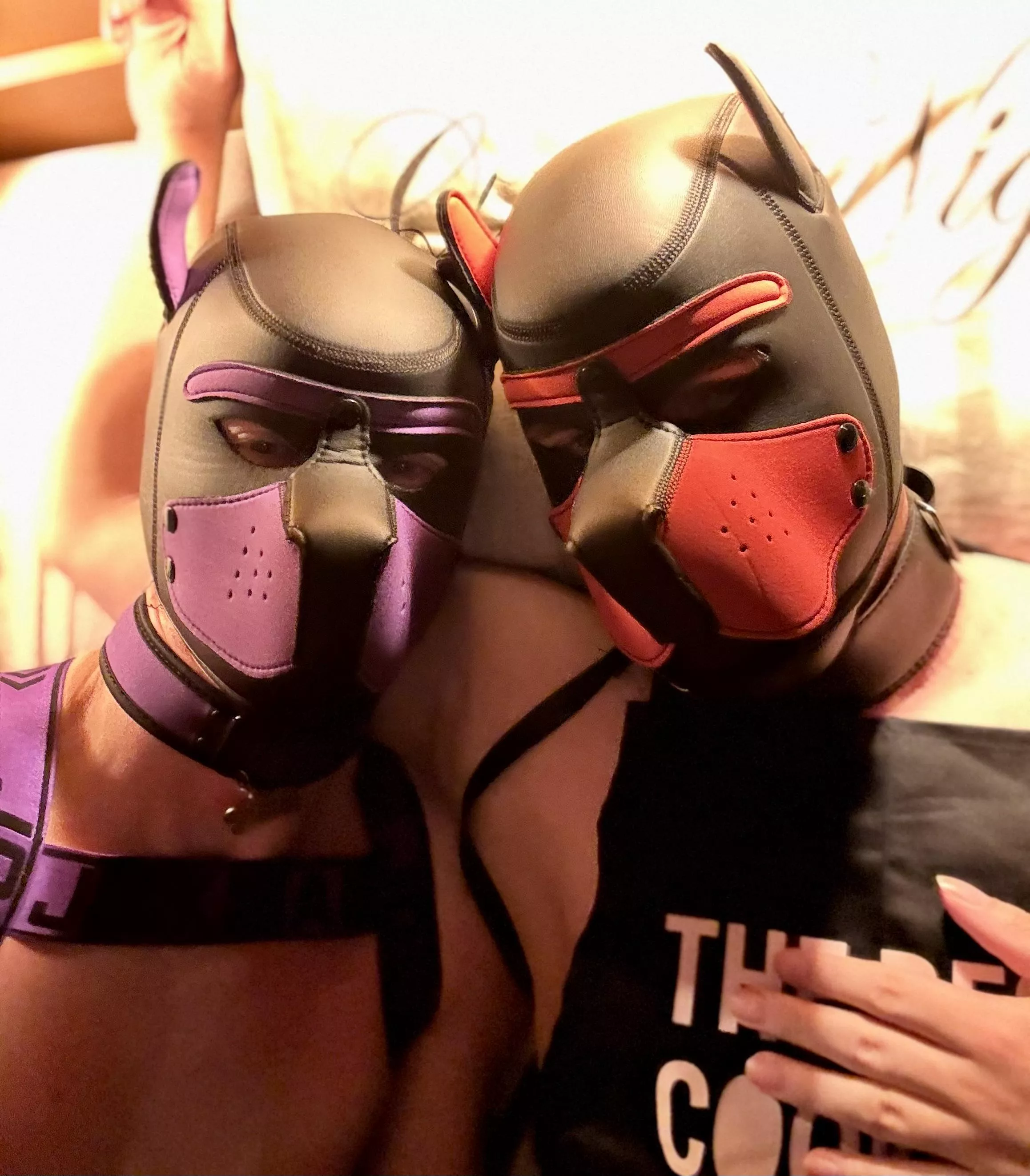 This puppy had an pawwsome weekend with this lovely red pup 💜🐶❤️🐶💚