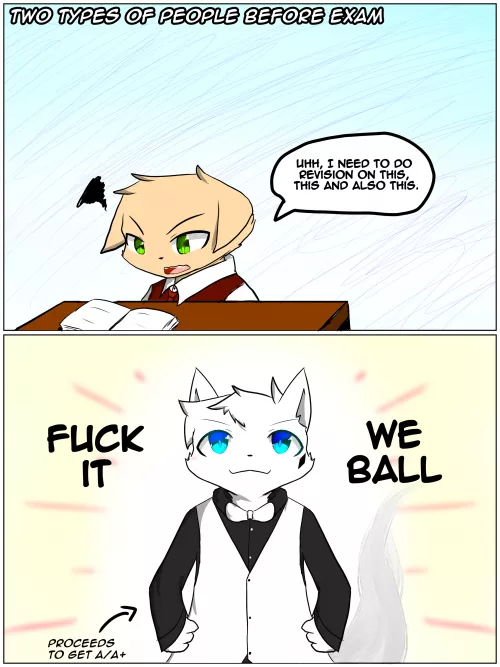 Two types of people before exam 