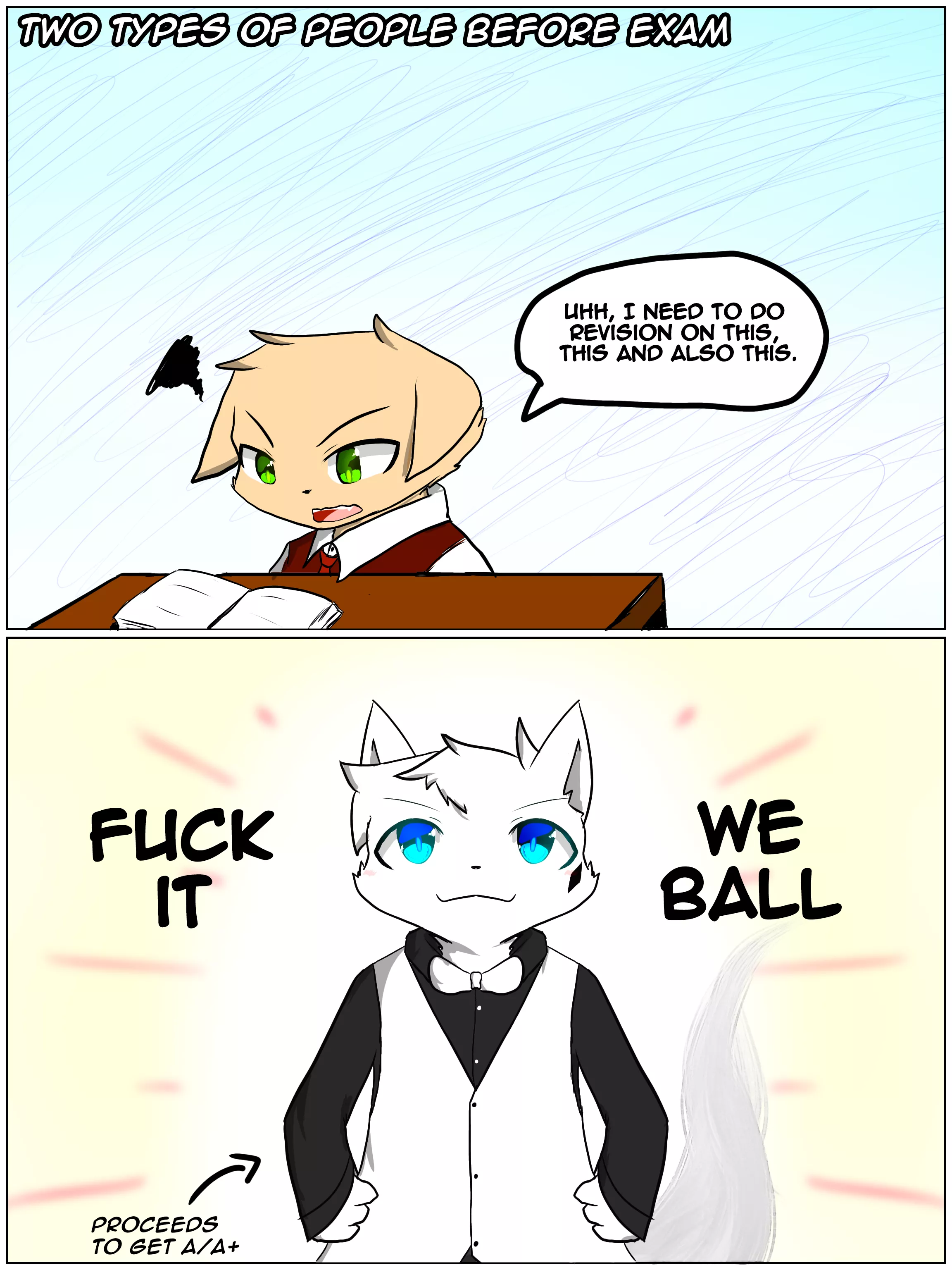 Two types of people before exam 