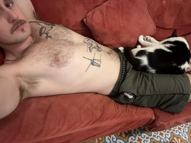 What would you pet first?