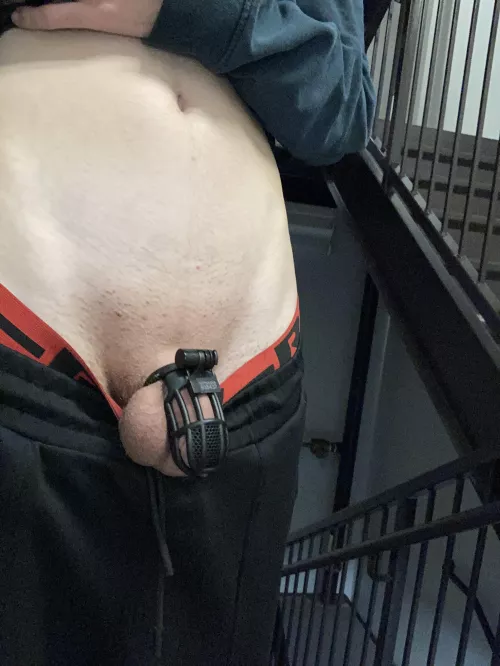 Wore my cage to my exams today :3