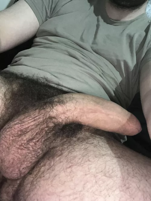 You like my big hairy cock??👅🍆