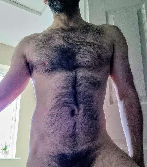 Your friendly werewolf 🐺