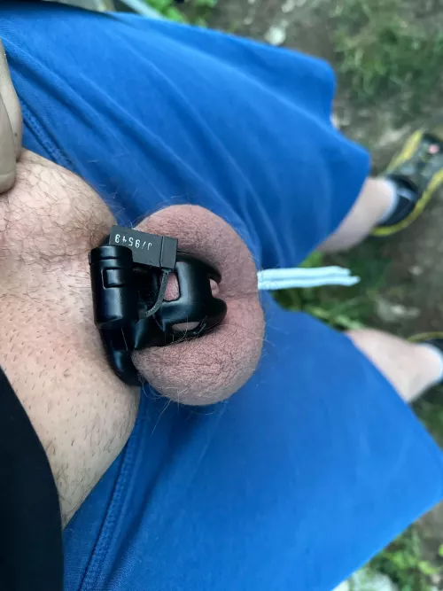 After a year of not being locked, I’m finally in a cage again