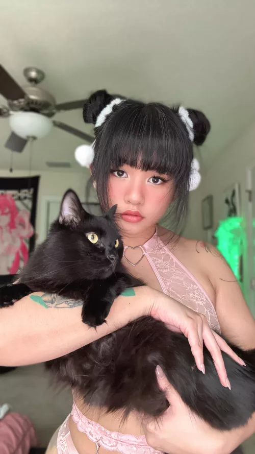 Catshion > fashion