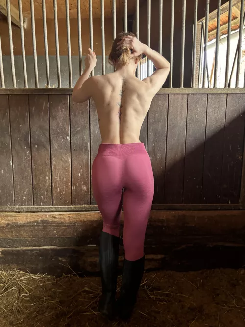 do you like the view