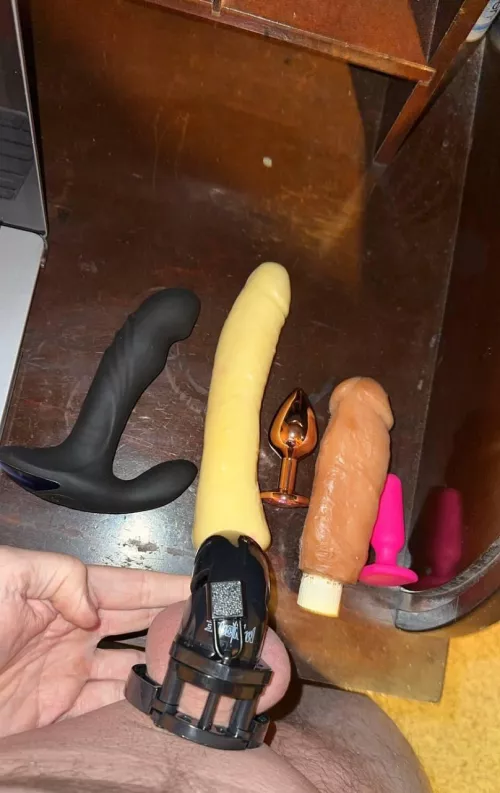My little boy is all locked up and ready to be used. But which toy should he use tonight?? 😈 vote for the toy