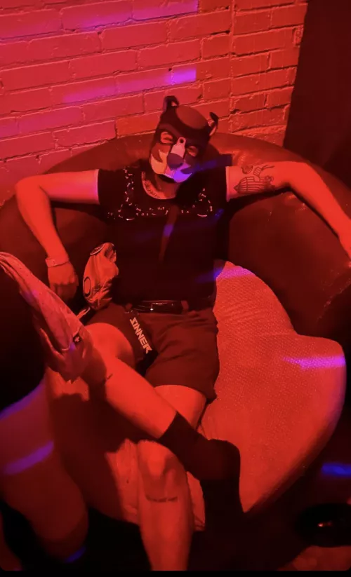 Puppy’s first rave! Can’t wait to wear my hood to the next one