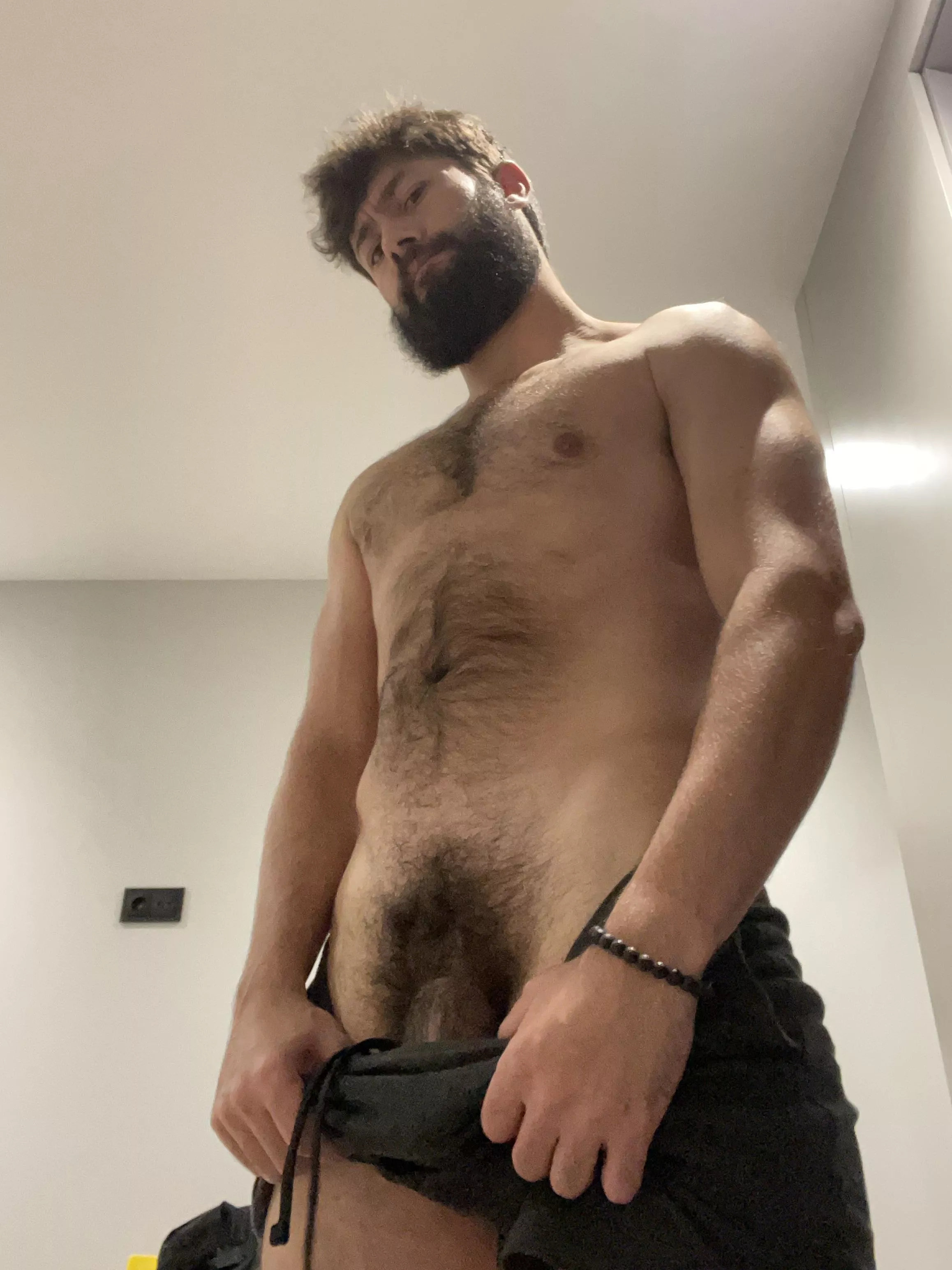 The bush saga continues⚡️