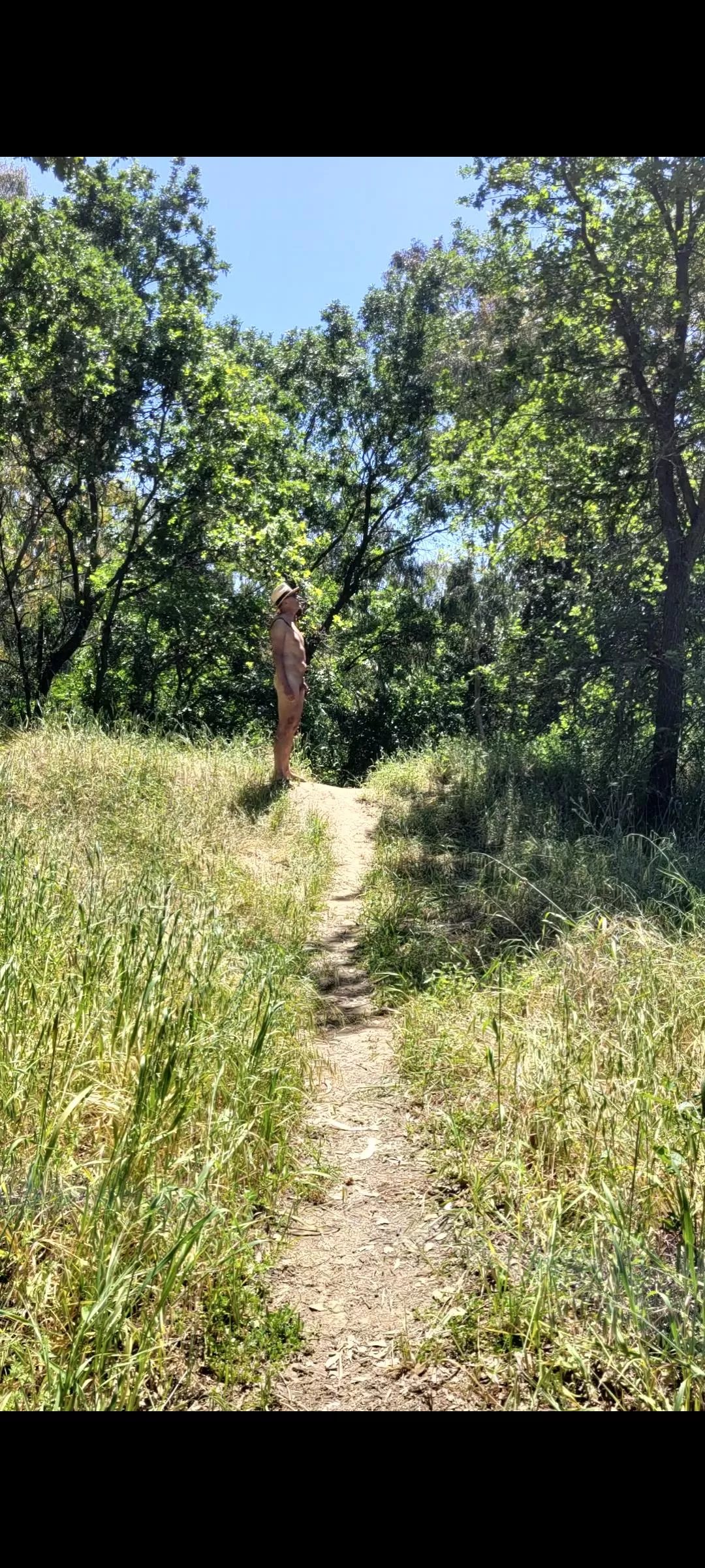 choose (m)y own adventure