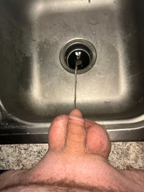 Morning piss in the kitchen sink?! Naughty