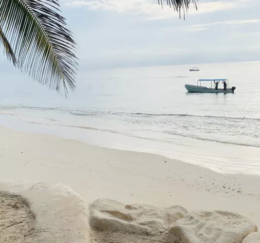 Mornings by the beach